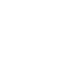 РІЗНОМАНІТНІСТЬ